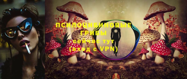 индика Волосово