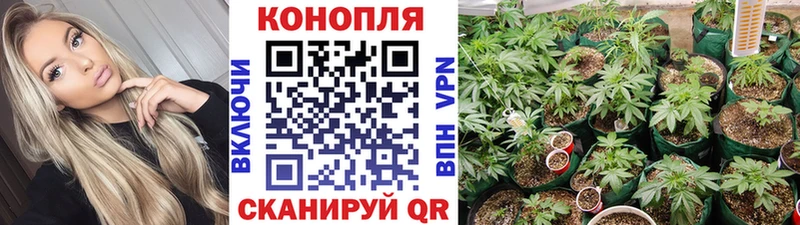 МАРИХУАНА гибрид Лысьва